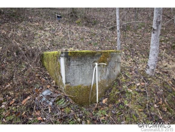 100 Alice Trail - Photo 8