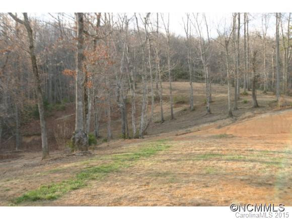 52 Bird Creek Estates Road - Photo 11