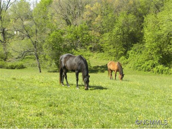 129 Meadowbrook Acres - Photo 24