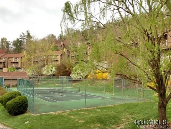 305 PINEY MOUNTAIN DR, P-4 - Photo 13