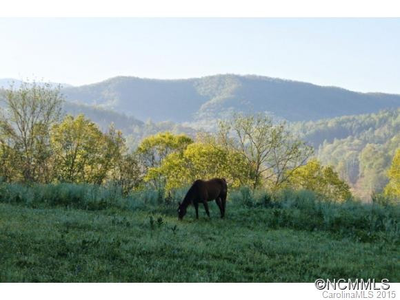 684 Jacks Creek Road - Photo 8