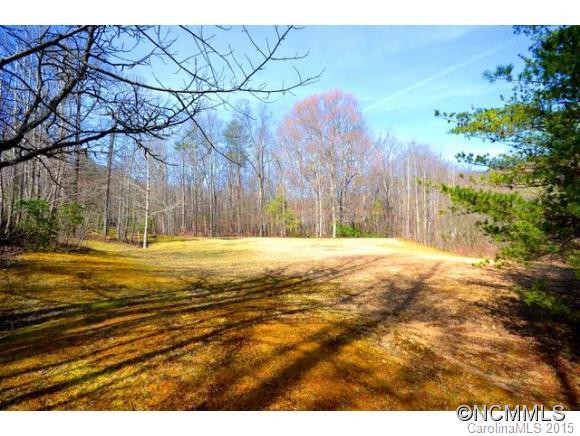 484 Duck Pond Lane - Photo 4