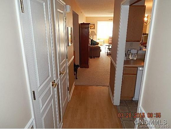 2303 Deermouse - Photo 2