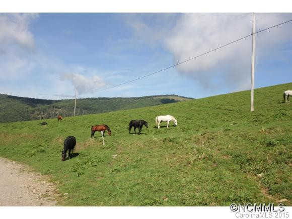 1208 Sheep Pasture - Photo 24