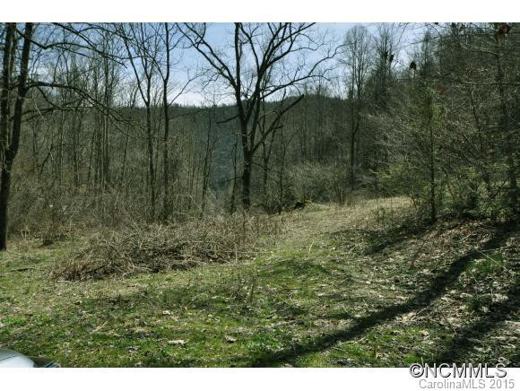 545 Roaring Fork Rd. - Photo 18