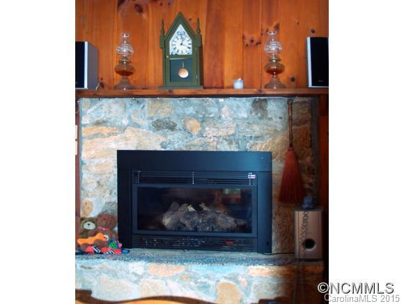 276 Wolf Ridge Road - Photo 8