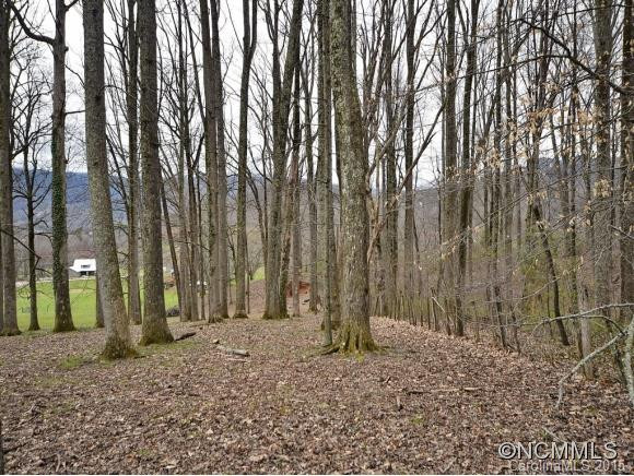 491 Cardinal Lane - Photo 3