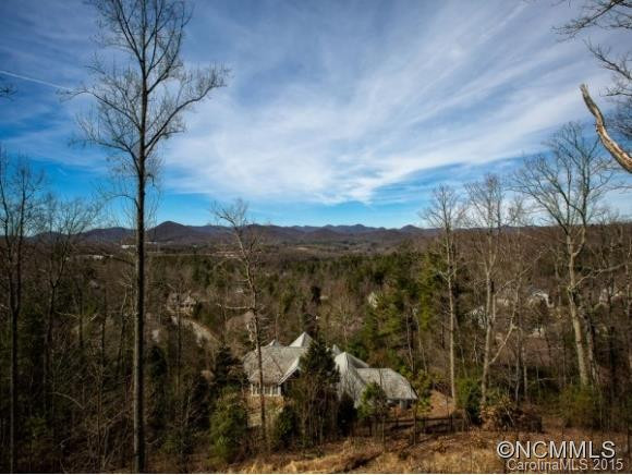 437 COOPERS HAWK DRIVE - Photo 3