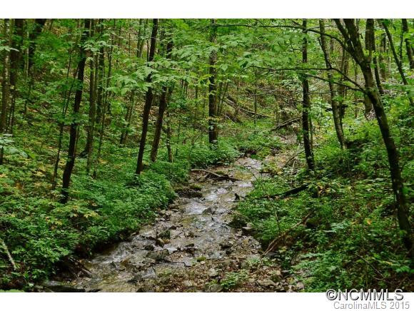314 Ginseng Hollow Lane - Photo 16