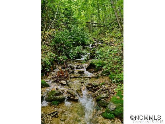 314 Ginseng Hollow Lane - Photo 17