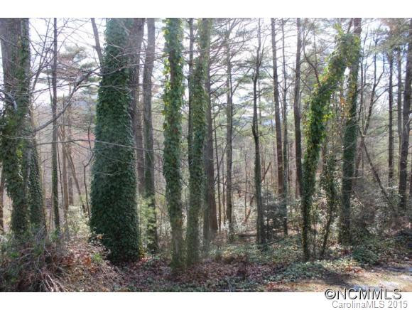 44 Hosta Lane - Photo 13