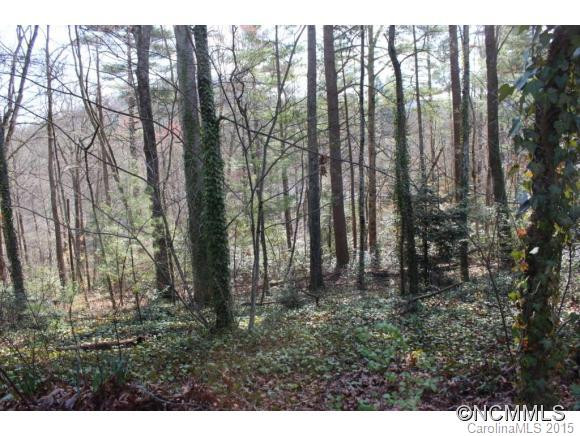 44 Hosta Lane - Photo 14