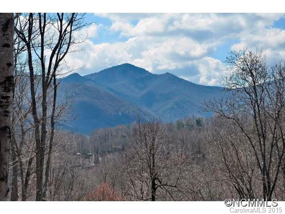262 Sweet Birch Dr - Photo 2