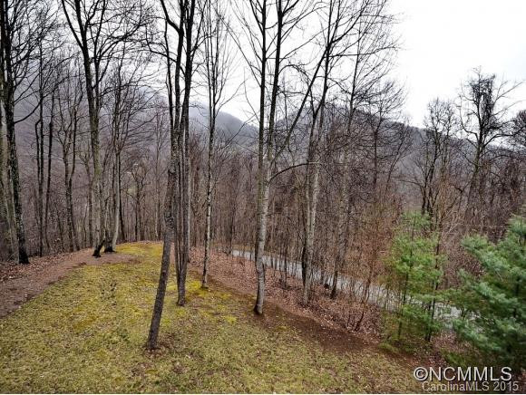 784 CHESTNUT FLATS - Photo 5