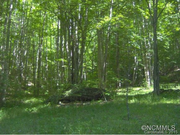 175 Kingfisher Lane - Photo 3