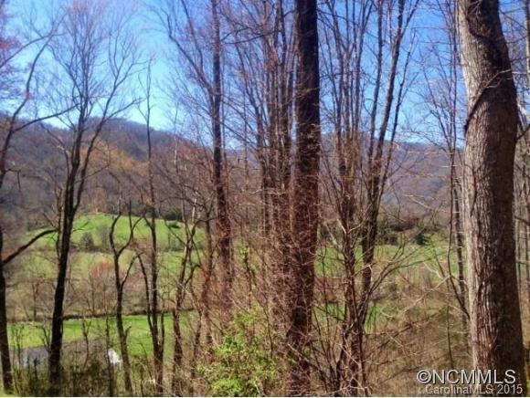 45 Treyburn Oaks Dr. - Photo 3