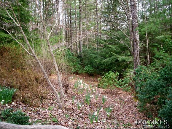 1291 Cherrywood Lane - Photo 4