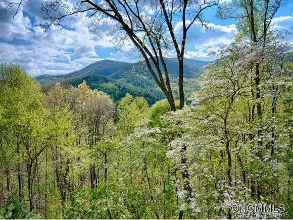 68 OX BOW CROSSING - Photo 13