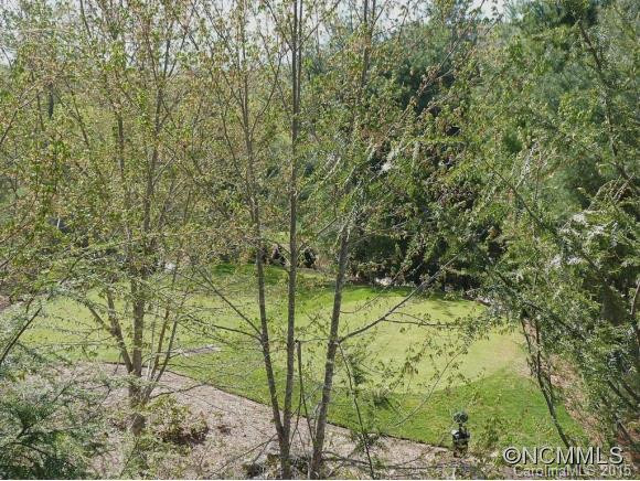 4 Wild Ivy Run - Photo 13
