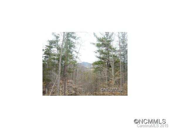 113 Silver Woods Lane - Photo 15