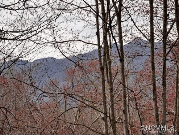295 WOODLAND ROAD - Photo 2