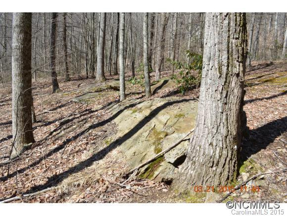 239 Catawba Lane - Photo 16