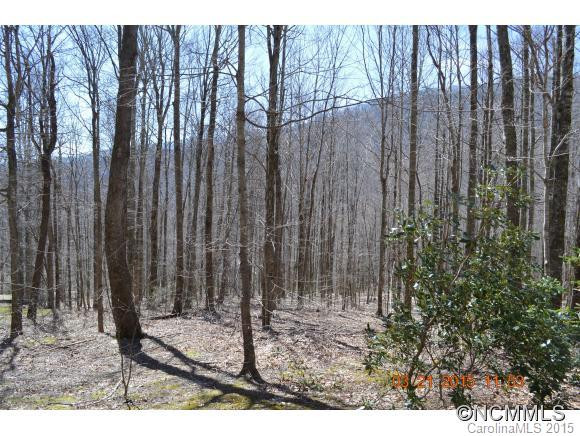 239 Catawba Lane - Photo 23