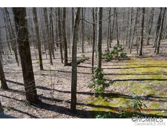 239 Catawba Lane - Photo 24