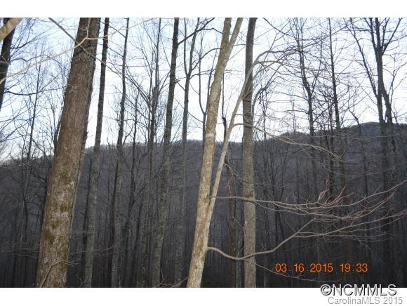 239 Catawba Lane - Photo 5