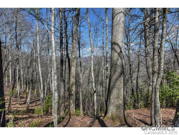 600 Fines Creek Road - Photo 23