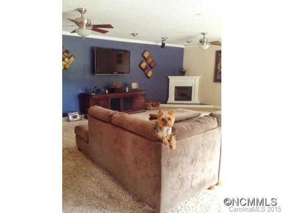 329 Eliada Home Road - Photo 8