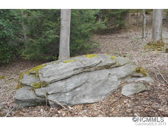 311 Pisgah Shadows Road - Photo 24