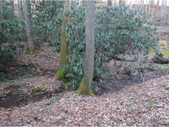 36 Belle Flower - Photo 20