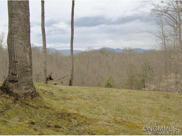 174 Crest Line Drive - Photo 4