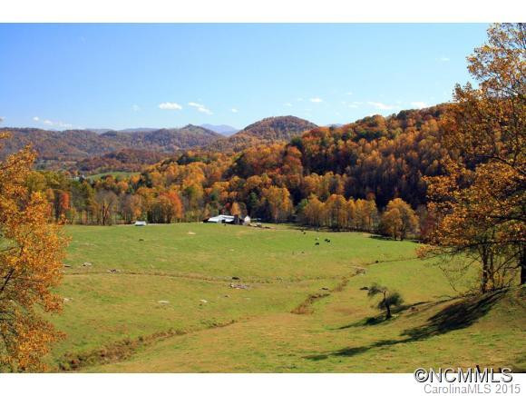 120 Mountain Mist Lane - Photo 2