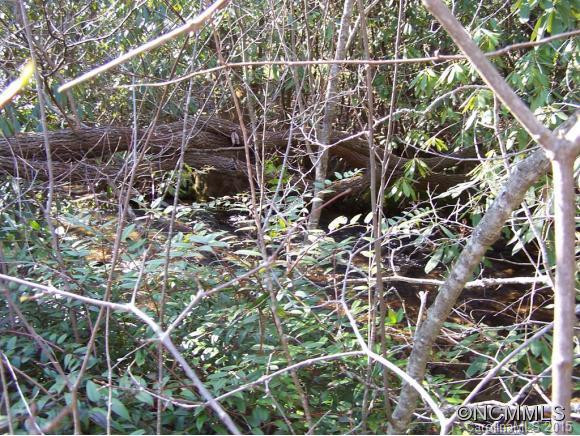 724 Williamson Creek Road - Photo 13