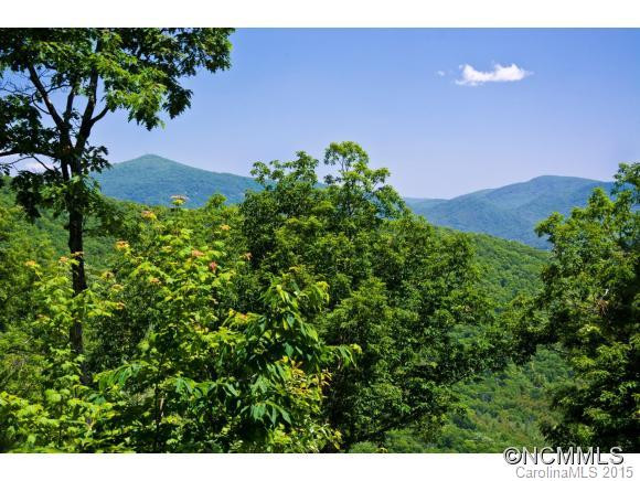 126 Chestnut Forest Rd - Photo 2