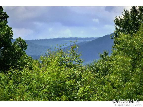1392 Tawodi Trail - Photo 2