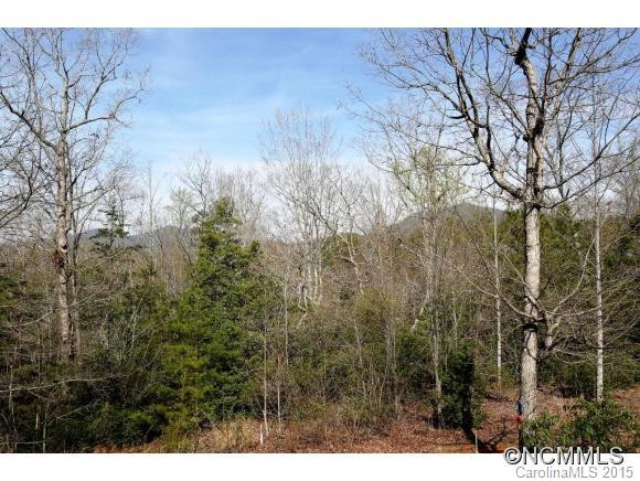 209 Little Bills Trail - Photo 20