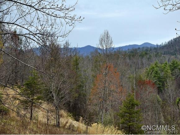 31 IVY PARK DR - Photo 14