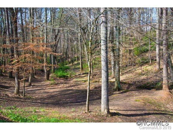 66 Chickwood Trail - Photo 5