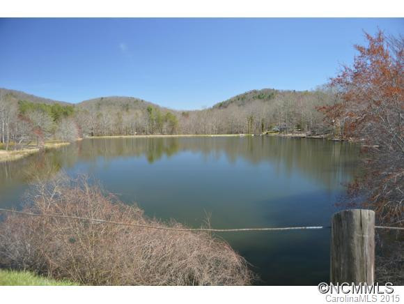 15 Amberjack - Photo 2