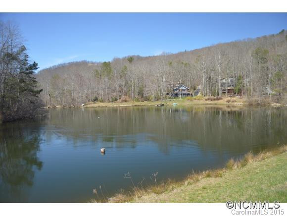 15 Amberjack - Photo 9