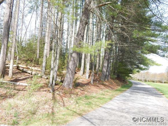 13 Fortune Cove Road - Photo 22