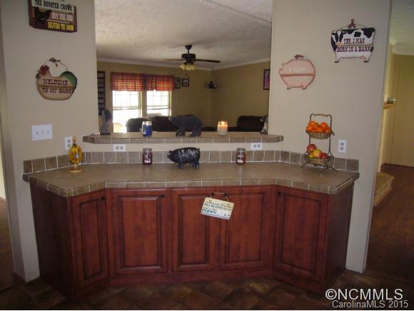 655 BALTIMORE BRANCH ROAD - Photo 10