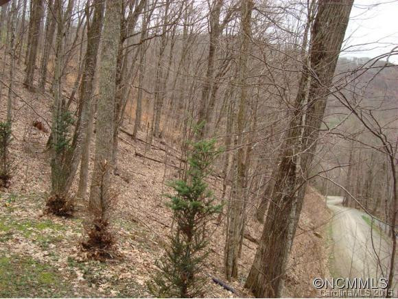 1257 Oakridge Lane (717 &718) - Photo 19