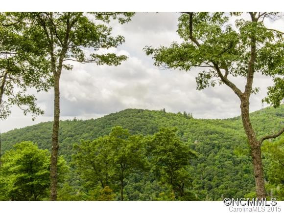 381 Toxaway Court #17 - Photo 3