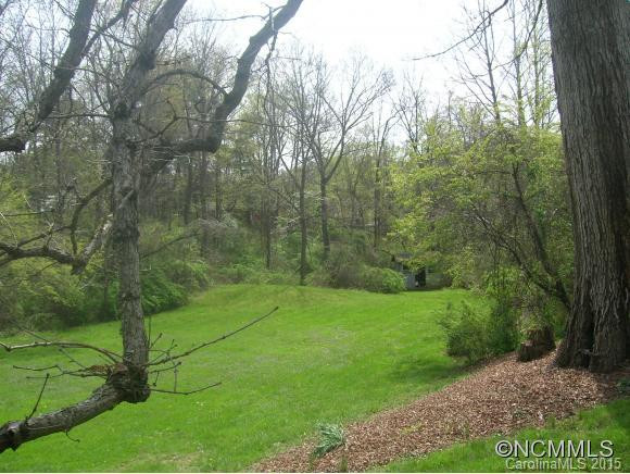 91 Old Haw Creek Road - Photo 3