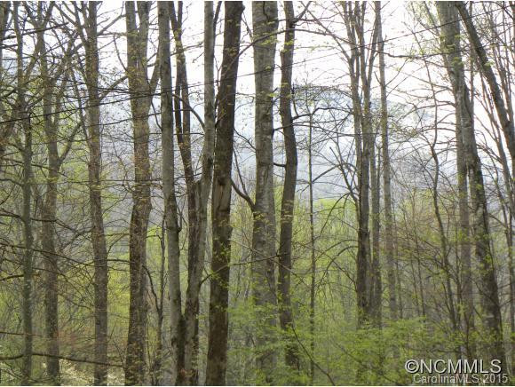 154 Lister Lane - Photo 17