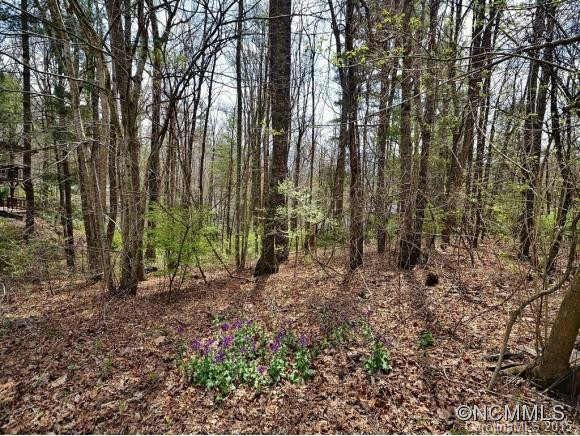 105 JEANIE AVENUE (+/- .6 ac.) - Photo 22